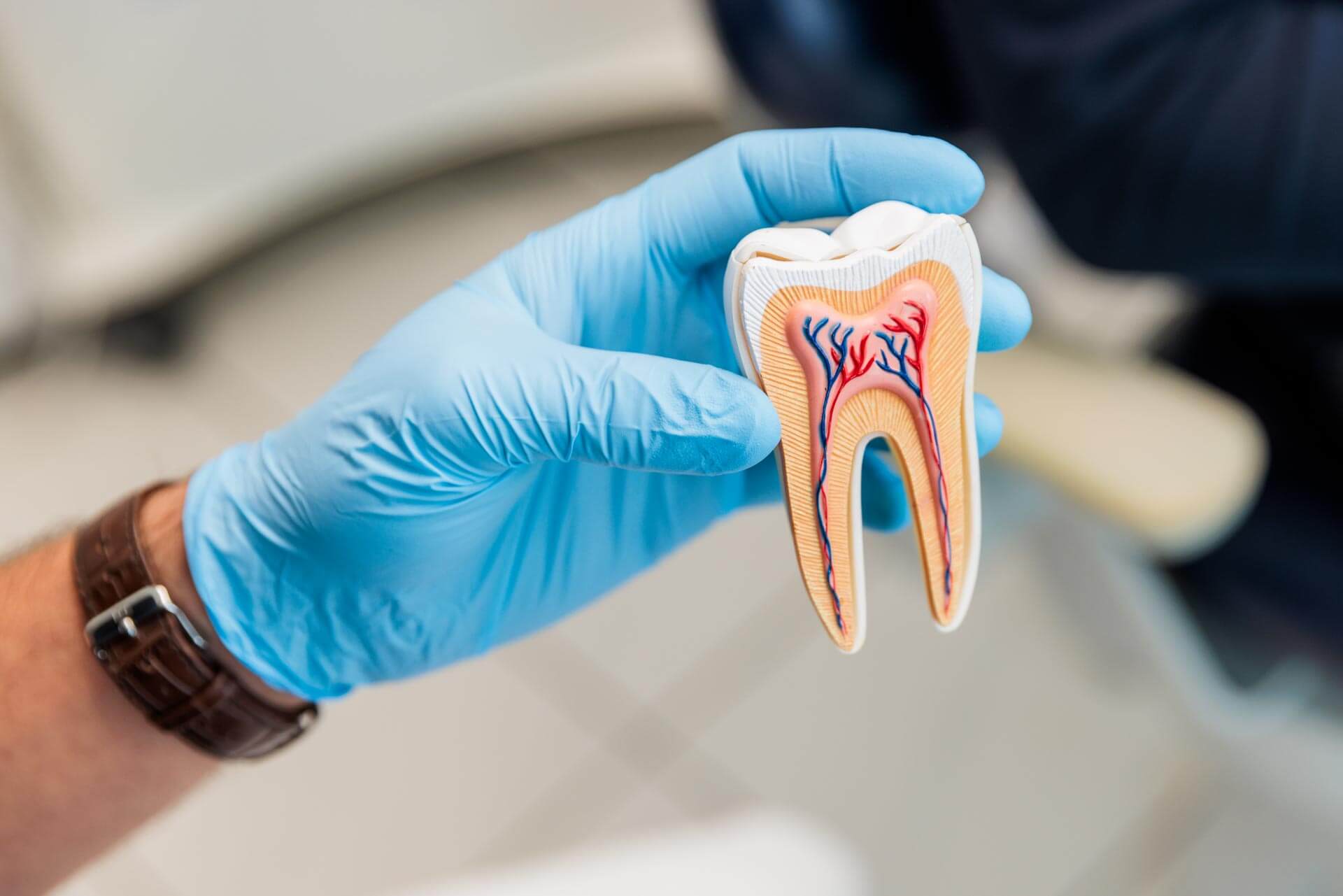 Endodontologie in Hamm | Praxis Alsibai
